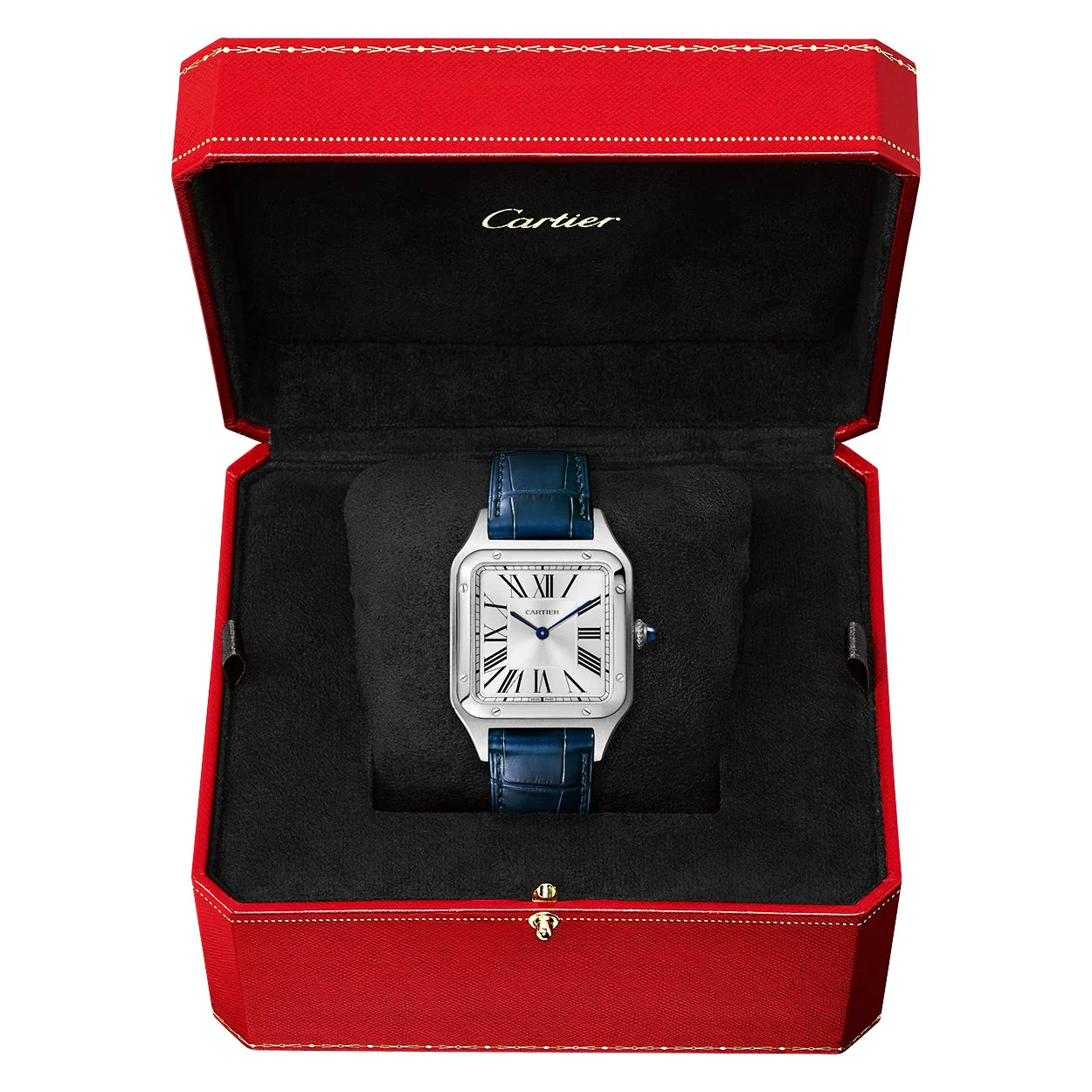 Santos-Dumont Large Steel Silver Dial Strap Watch - Image 9