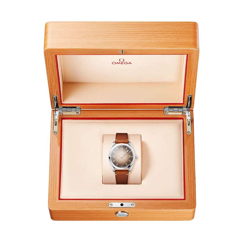 Seamaster Railmaster Small Seconds 38mm Brown Dial Strap Watch - Image 2