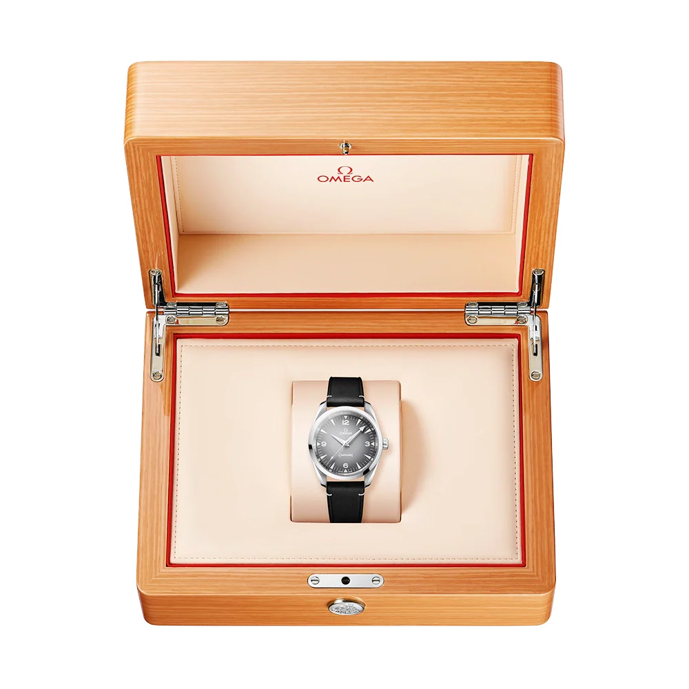 Seamaster Railmaster 38mm Grey Gradient Dial Strap Watch - Image 2